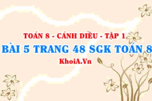 Bài 5 trang 48 SGK Toán 8 tập 1 Cánh Diều